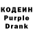 Codein Purple Drank ZOOGRAD